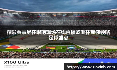 精彩赛事尽在眼前现场在线直播欧洲杯带你领略足球盛宴